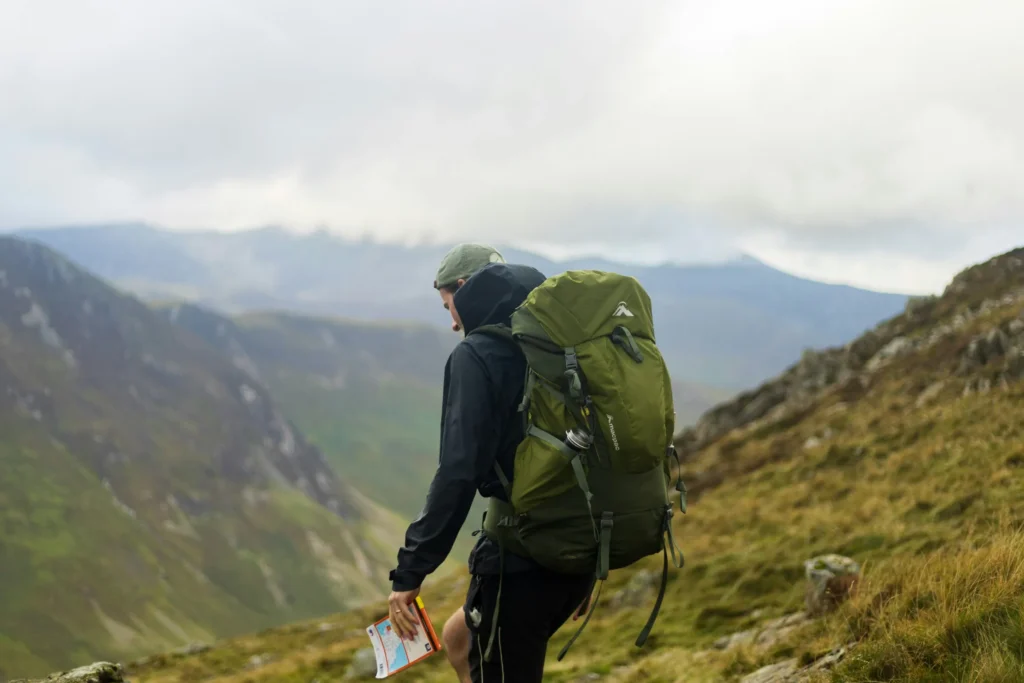 Into the Wild Exploring the Beauty of Nature’s Wonders