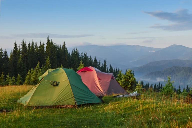Wild and Free Embracing the Outdoors in Every Season